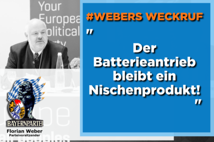 Der Tesla-Hype – Darum bleibt der Batterieantrieb ein Nischenprodukt